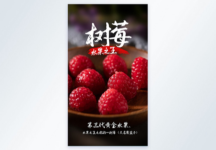 树莓水果之王美食摄影图海报图片