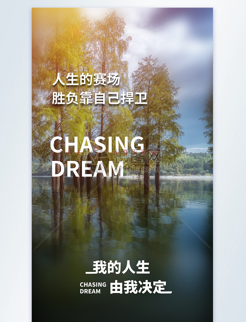 我的人生由我决定摄影图海报