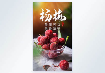 水果杨梅美食摄影海报图片