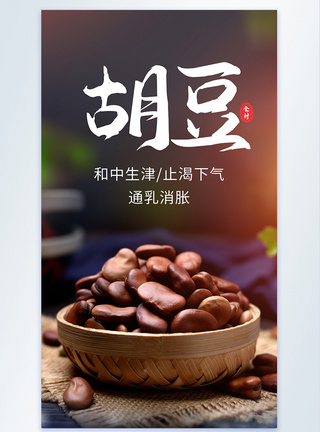 新鲜胡豆食材摄影海报图片