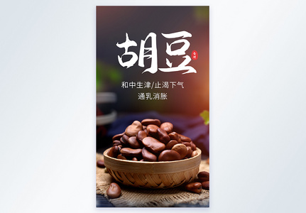 新鲜胡豆食材摄影海报图片