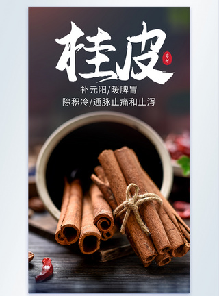 桂皮药材摄影海报图片