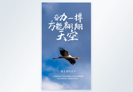飞鸟摄影主题企业文化海报图片