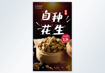 蔓花生图片 蔓花生高清设计图片素材大全 摄图网 蔓花生图片 蔓花生高清设计图片素材大全 摄图网