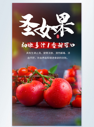 圣女果西红柿蔬果摄影海报图片