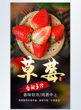 草莓地新鲜草莓水果摄影海报模板