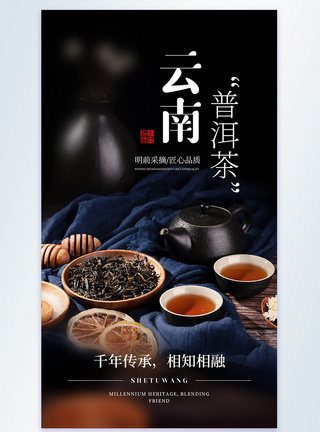 云南普洱茶美食摄影图海报图片