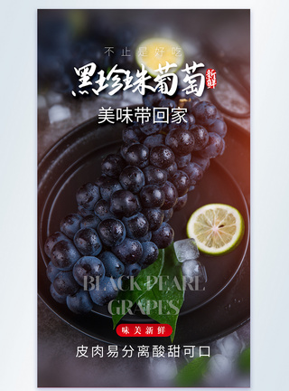 黑珍珠葡萄美食摄影图海报模板