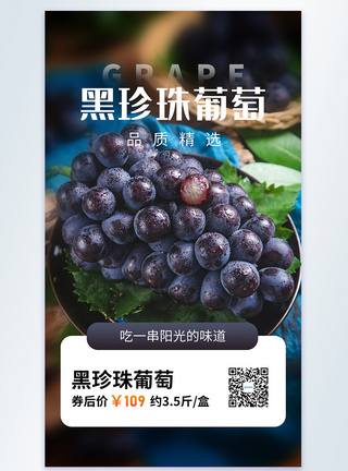 黑珍珠葡萄美食摄影图海报图片