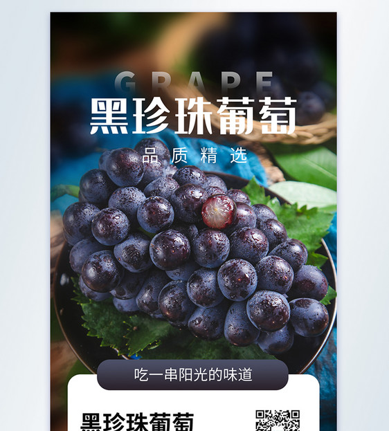 黑珍珠葡萄美食摄影图海报图片