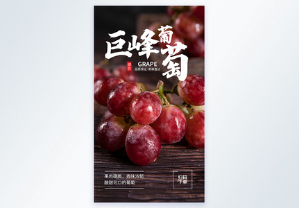 巨峰葡萄美食摄影图海报图片