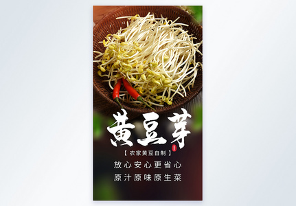 黄豆芽有机蔬菜食材摄影海报图片