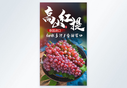 云南高山红提水果摄影海报图片