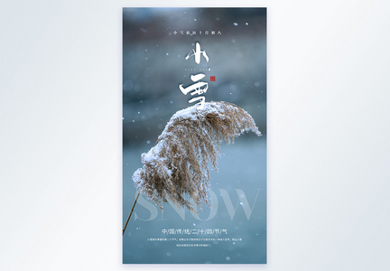二十四节气小雪摄影图海报图片