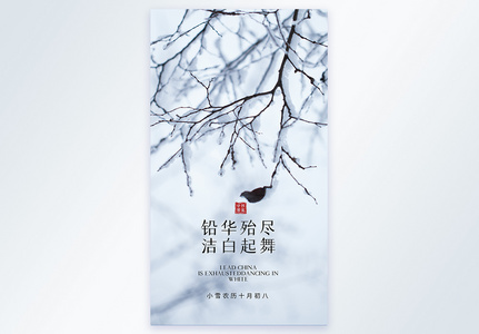 铅华殆尽洁白起舞二十四节气小雪摄影图海报图片