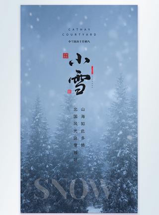 小雪摄影图海报图片