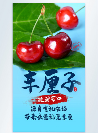 车厘子樱桃进口水果摄影海报图片