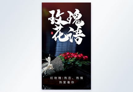 鲜花红玫瑰花语摄影海报高清图片