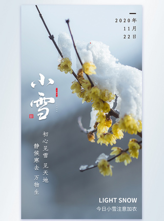 小雪节气摄影图海报图片