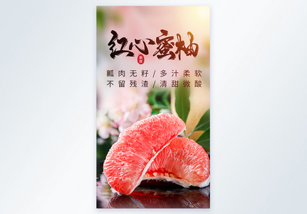 红肉蜜柚水果肉摄影海报图片