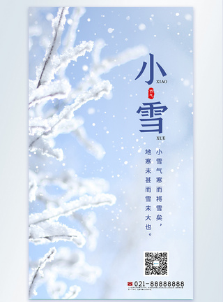 下雪图片24节气之小雪摄影图海报模板