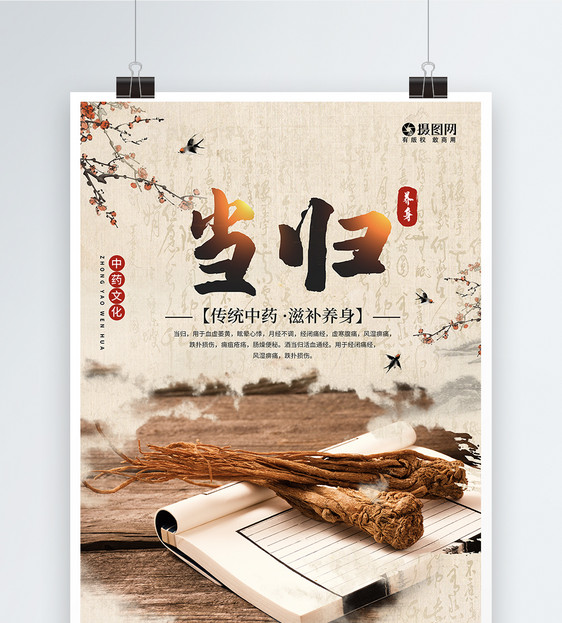 复古当归养身中国传统中药养身宣传海报图片