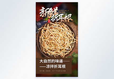 生态折耳根美食摄影图海报图片