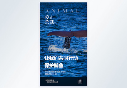 让我们共同行动保护鲸鱼公益宣传摄影图海报图片