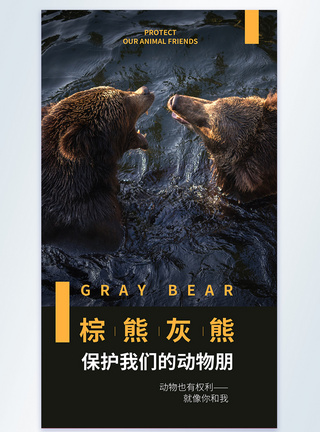 野生动物保护我们的动物朋公益宣传摄影图海报模板