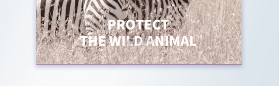 同—个家园保护动物宣传摄影图海报图片