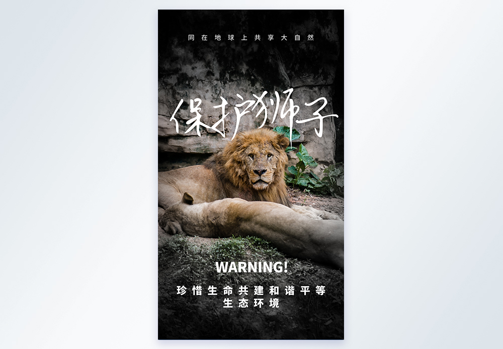 自尊心受到伤害保护狮子宣传摄影图海报模板