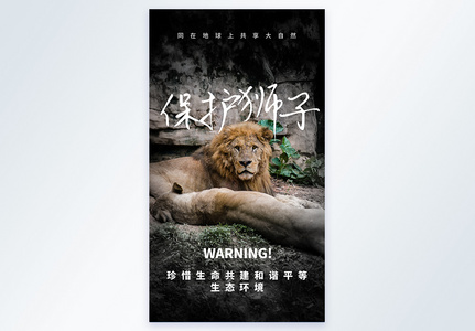保护狮子宣传摄影图海报图片