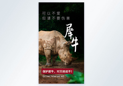 犀牛保护动物宣传摄影图海报图片
