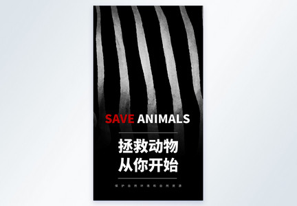 拯救动物从你开始物宣传摄影图海报图片