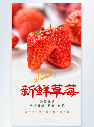 新鲜草莓摄影图海报图片
