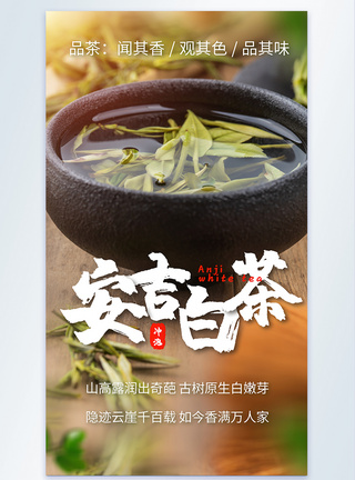 安吉白茶美食摄影图海报图片