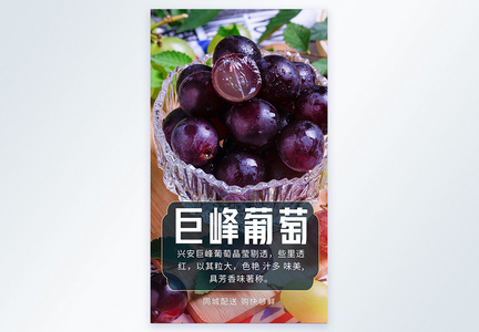 巨峰葡萄水果摄影图海报图片
