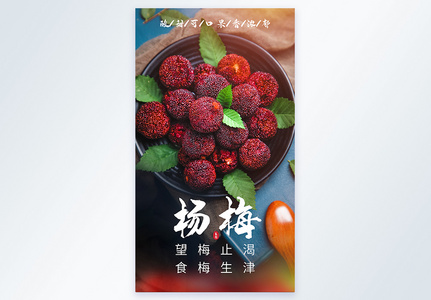 水果杨梅摄影图海报图片