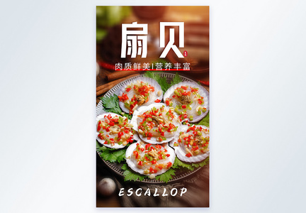 扇贝粉丝海产品粤菜美食摄影图海报图片