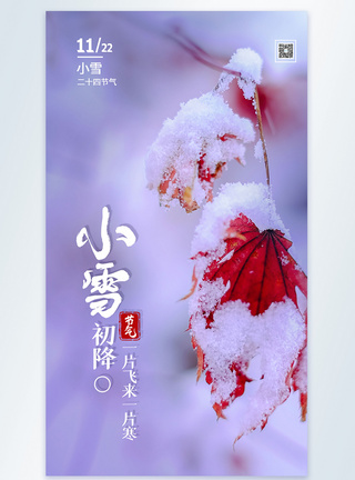 小雪24节气摄影海报设计图片