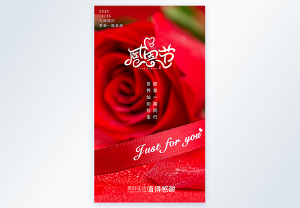 红色玫瑰感恩节摄影图海报图片