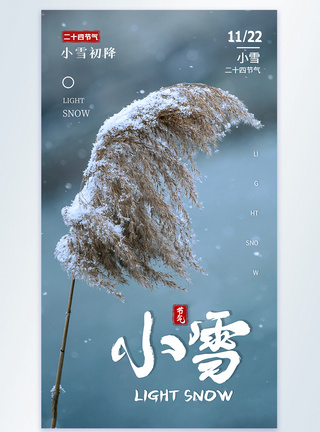 二十四节气小雪摄影海报设计图片