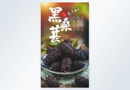 黑桑葚新鲜水果摄影图海报图片