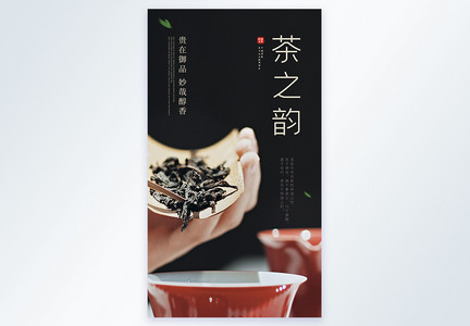 茶之韵茶文化茶叶宣传摄影图海报图片