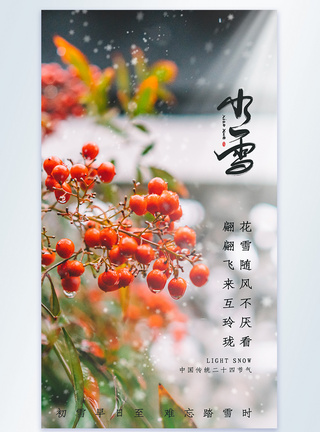 小雪节气二十四节气摄影图海报图片