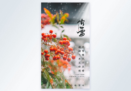 小雪节气二十四节气摄影图海报图片