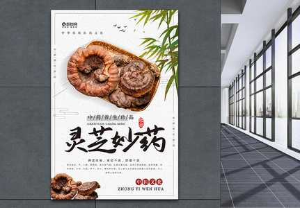 中国传统中医中药灵芝宣传海报高清图片