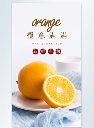 橙意满满摄影图海报图片