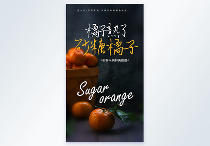 砂糖橘子摄影图海报图片