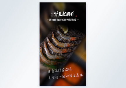 野生红脚虾摄影图海报图片
